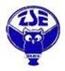 Logo Zespół Szkół Ekonomicznych w Brzegu